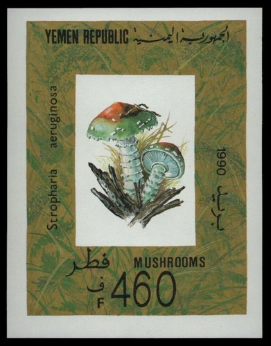 Jemen 1991 - jemen, (