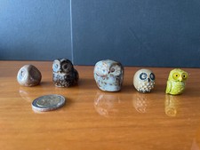 5 Minatur Eulen Sammlung Setzkasten