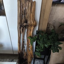 Treibholz Skulptur 100cm