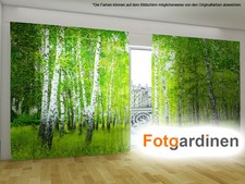 Fotogardinen "Birken" Vorhang