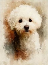 Bichon Frise Hund Tier