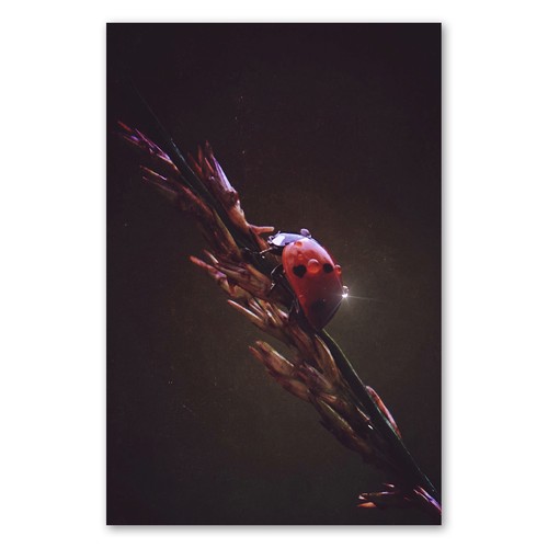 Postereck 2962 poster - 2962,