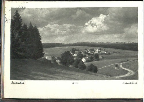 Buntenbock oberharz goslar - oberharz,