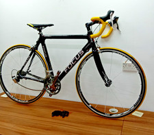 Focus cayo expert - cayo,