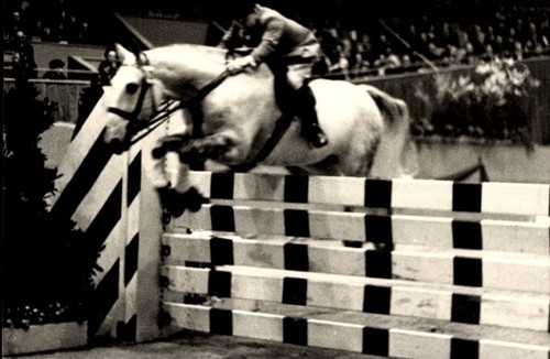 Foto springreiten sprung - foto, springreiten,