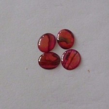 4 Stück Abalone Shell