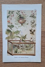 Zimmer- und Aquariumpflanzen