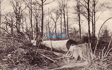 AK Argonnen wohl Grenadier-Regiment Nr. 123 n. Spaichingen