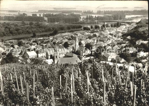 Tokaj panorama - tokaj,