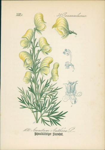 Chromolithographie - ,