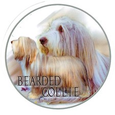 Aufkleber Motiv 1 Bearded