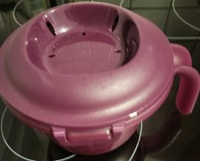 Tupperware Junior Reismeister