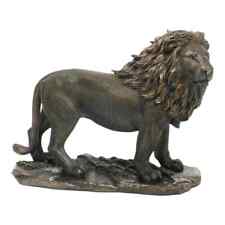 Männlicher Löwe Wilde Natur