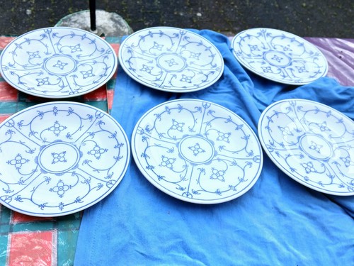 Strohblumen muster - 6,