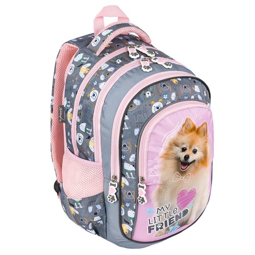 Süßer pomeranian little - pomeranian,