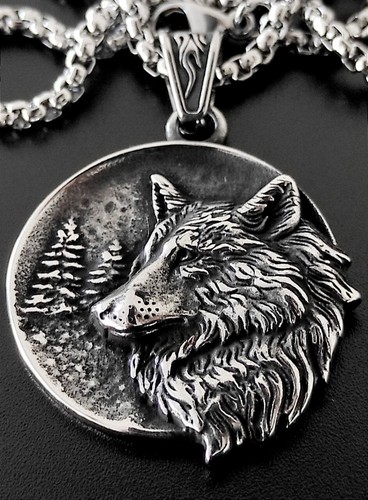 Wolf kopf wald - wolf,
