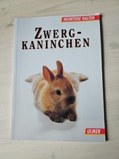 Zwergkaninchen. Heimtiere