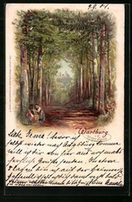 Lithographie Eisenach, Wartburg v. d. Hohen Sonne 1901 