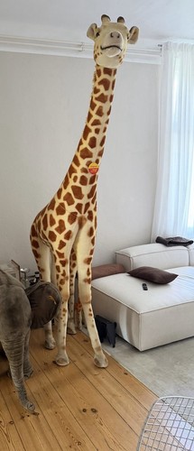 Steiff studio tier giraffe - studio,