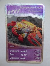 Netto "Ozeanien 2 Wir tauchen