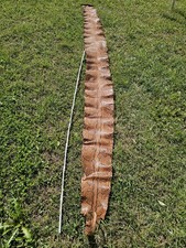 Python Schlangenhaut Tigerpython echt 320x29 cm