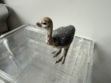 Schleich Wildtiere Baby