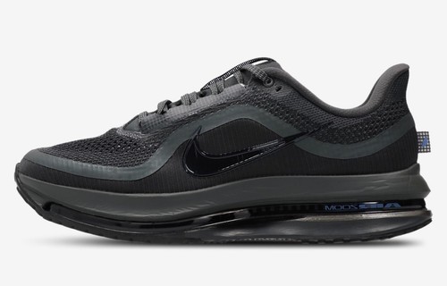 Nike pegasus premium - nike,