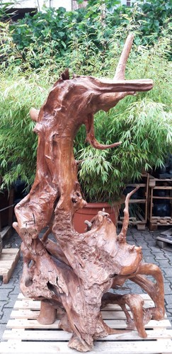 Teak wurzelholz skulptur asia - teak,