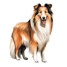 Collie Car Decal 9X9cm Dogs