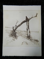 Walter herzog - walter,
