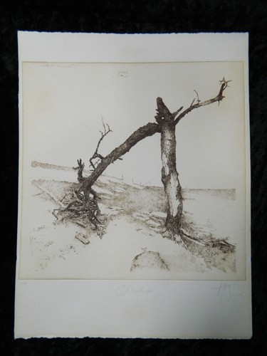 Walter herzog - walter,