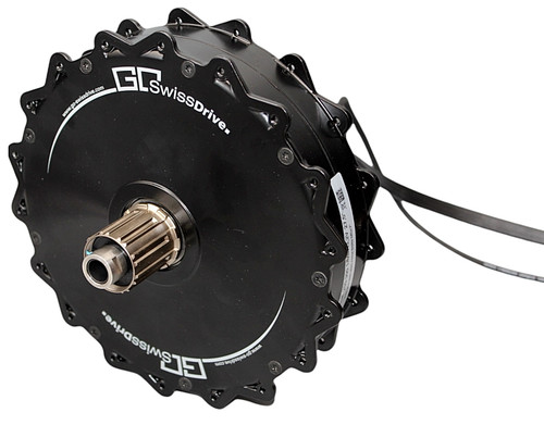 Swiss drive 500w motor - motor, m02s