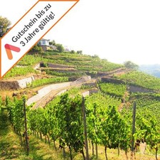 Kurzreise Radebeul bei Dresden