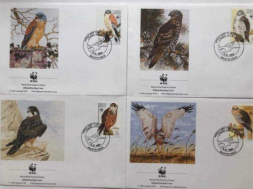 Wwf etb malta - 4,