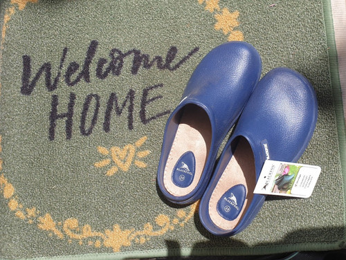 Blackfox clog colors - clog,