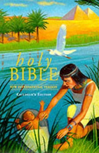 Niv popular children bible - niv,