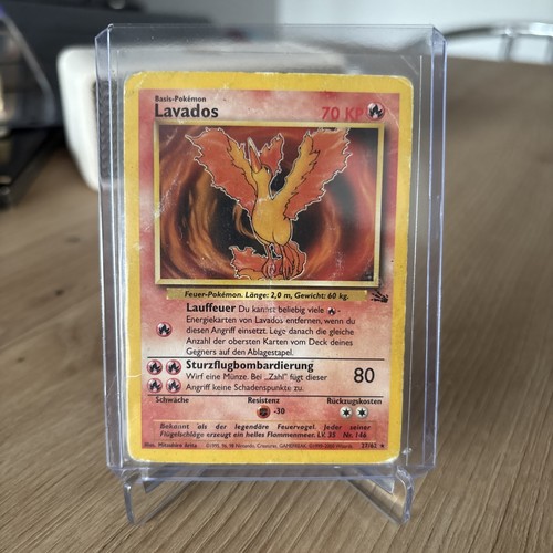 Lavados fossil non holo - lavados,