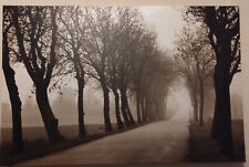 Ikea Bild-Herbstbild-Pjätteryd - misty Road 78x118 cm auf Leinwand