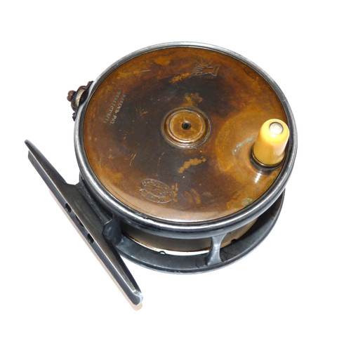 Seltene hardy perfect - hardy, 4"