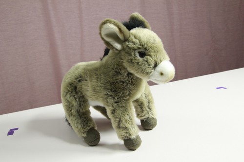 Esel heunec 286672 - heunec,