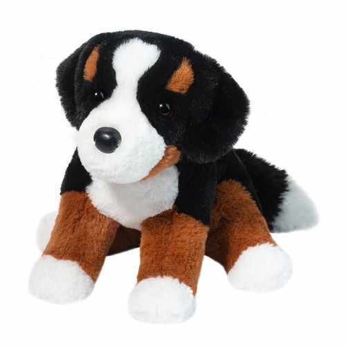 Bowie berner sennenhund - berner,