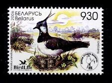 Kiebitz. 1W. Weißrußland 2006