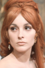 Sharon Tate aus dem Roman Polanski Film Der furchtlose Vampir von 1967 - 4x6 Foto