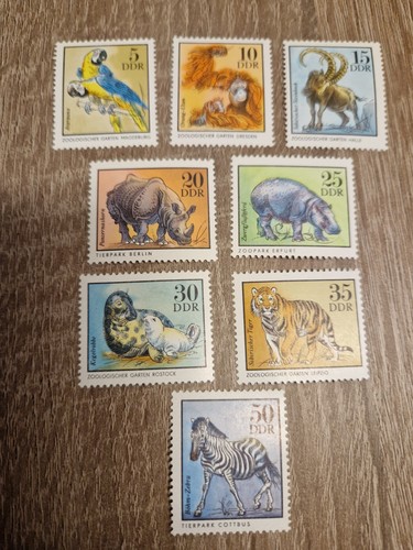 Ddr 1975 2030 - ddr, 2030-2037
