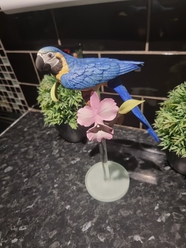 Franklin mint tropical birds - franklin,