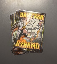 Ultras SG Dynamo Dresden
