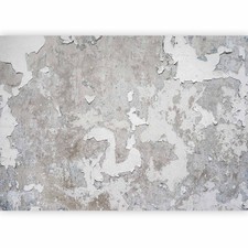 BETON OPTIK ALTE WAND FARBE