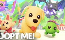 Adopt me pets Roblox Nfr blazing Lion