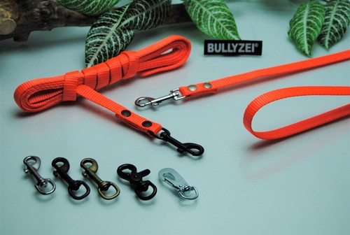 Leine nylon neon orange - leine,