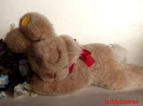 Niedlicher steiff hase floppy - ,